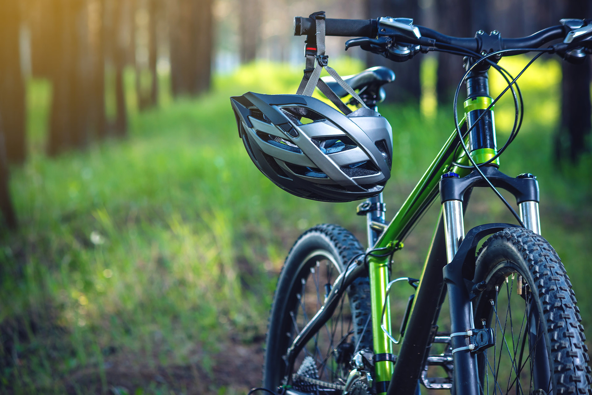 Arrowhead ancestor Flicker ▷ Cele mai Bune Mărci de Biciclete în 2023 - BikePro